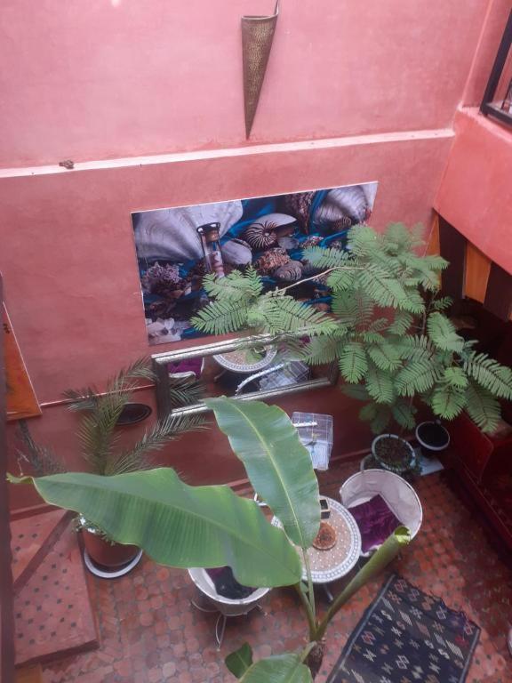 Riad Hanafi Marrakesh Bagian luar foto